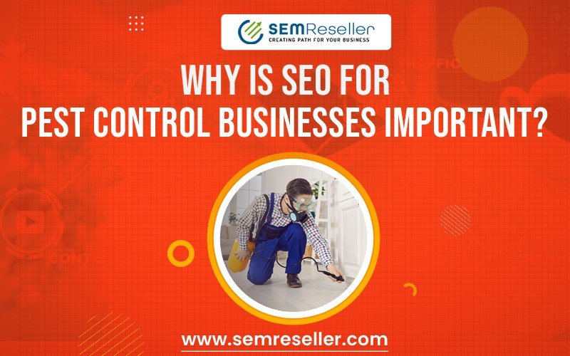 SEO for Pest Control